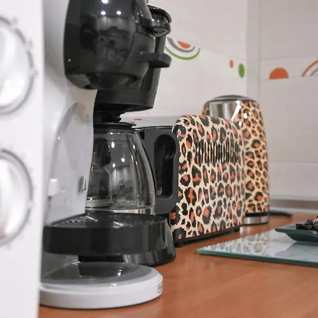 公寓 Coniderentals Centro Masip 3 *